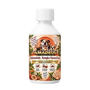 amadeus-oeb.shop