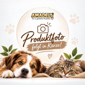 amadeus-oeb.shop