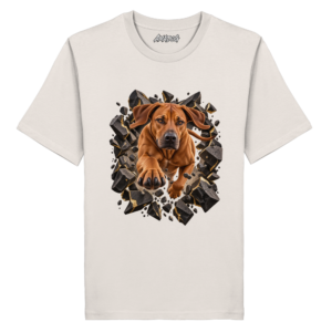 AMADEUS Onlineshop