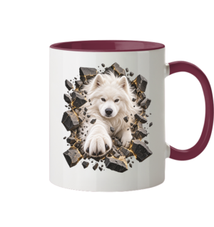 AMADEUS Onlineshop